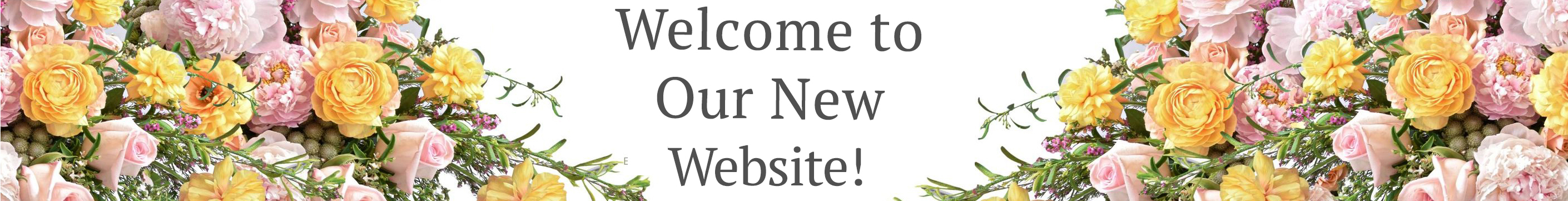 New Website Image