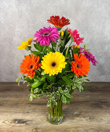 Crazy for Daisies