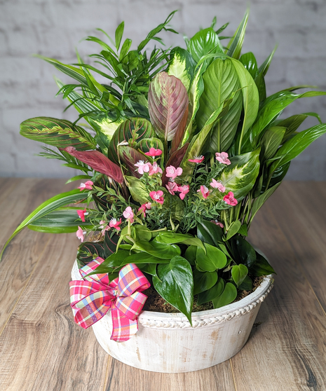 Feminine Dishgarden