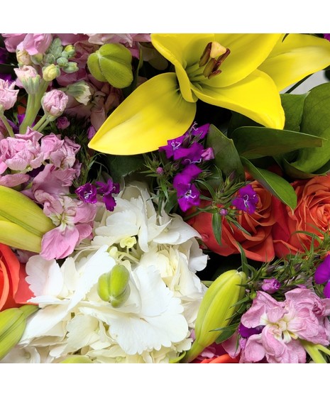 Flower Bar Kit - Garden Vibrance (Small Group)