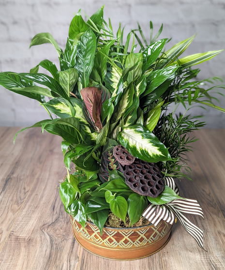 Masculine Dishgarden