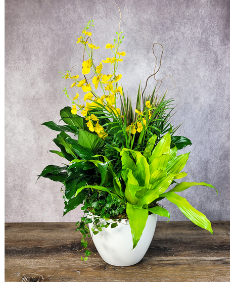Rainforest Retreat Planter