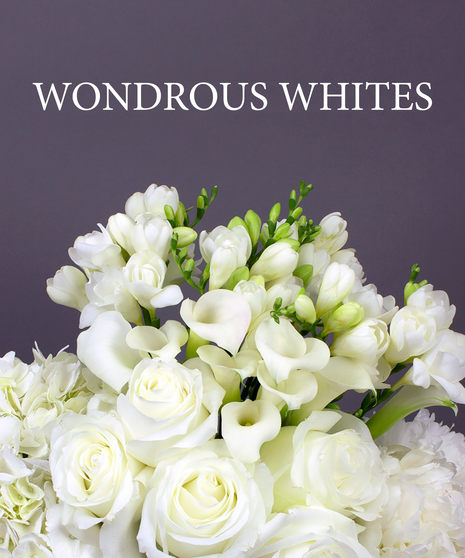 Wonderous in White – Designer’s Choice