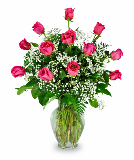 1 Dozen Premium Hot Pink Roses