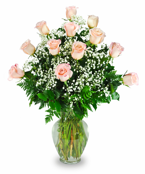 1 Dozen Premium Pink Roses