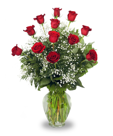 1 Dozen Premium Red Roses