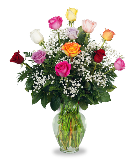 1 Dozen Premium Colored Roses