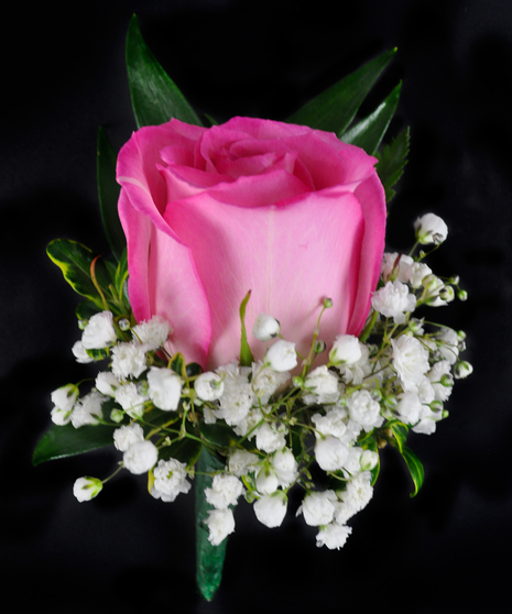 Rose Boutonniere - Includes Baby's Breath & Greens