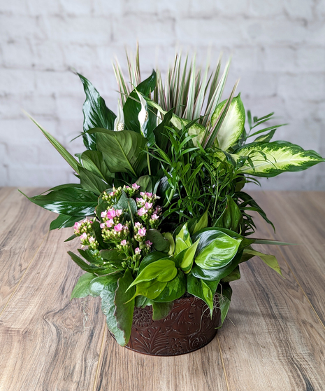 European Planter
