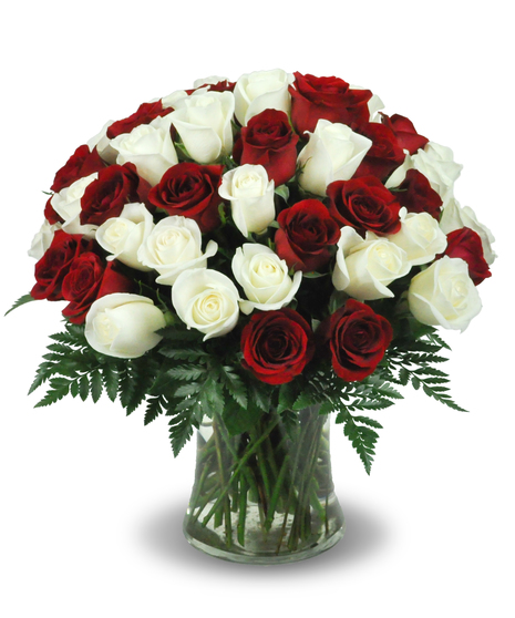 Rose Festival